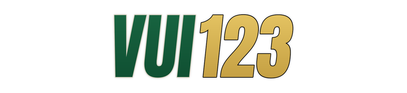 vui123 logo